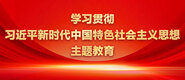 艹到高潮的视频免费看网站学习贯彻习近平新时代中国特色社会主义思想主题教育_fororder_ad-371X160(2)